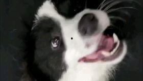 老公狠狠扯奶头