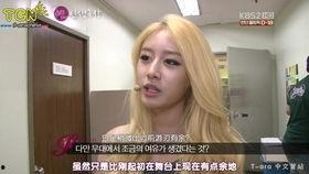 综艺字幕明星,综艺字幕中的明星风采