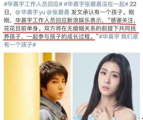 娱乐圈吃瓜大鹅,揭秘明星幕后故事