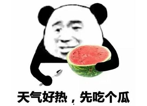 吃瓜的表情该怎么回复,揭秘网络社交中的趣味与心理